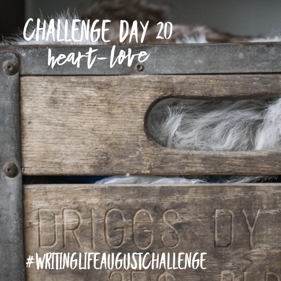 Antique wood and metal milk crate with fur peeking out from the inside. Photo text: Challenge Day 20, heart-love. #writinglifeaugustchallenge